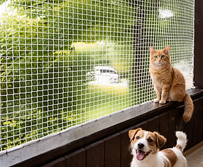 Pet Safety Nets Balcony